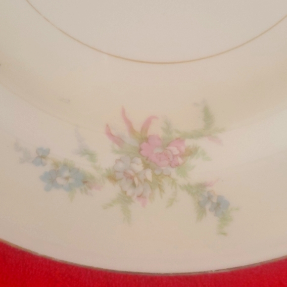 2 piece of Eggshell Nautilus Dinner Plates, USA. G48N5 - Picture 4 of 8